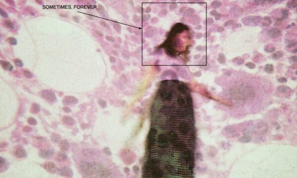 Nuova musica: Soccer Mommy, Beabadoobee, Lykke Li, Zola Jesus, Shearwater