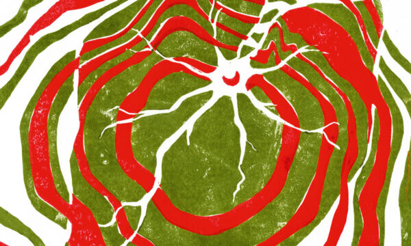 ‘Raspberry Moon’ è il terzo LP degli Hotline TNT