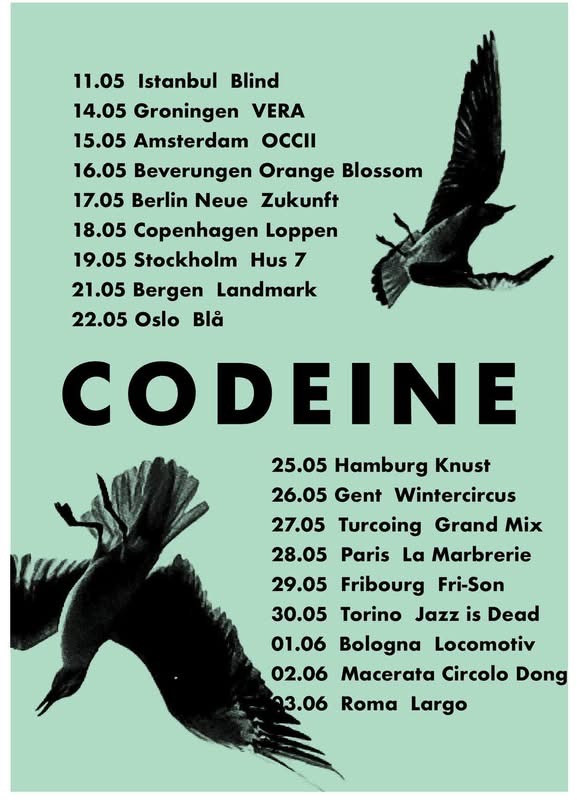 Codeine in Italia, 4 i concerti