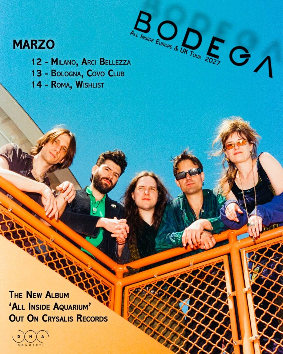 bodega